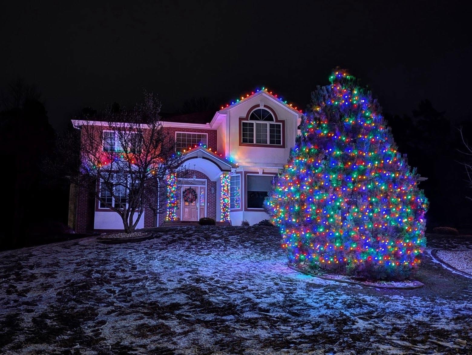 Multi-color tree wrap & roofline