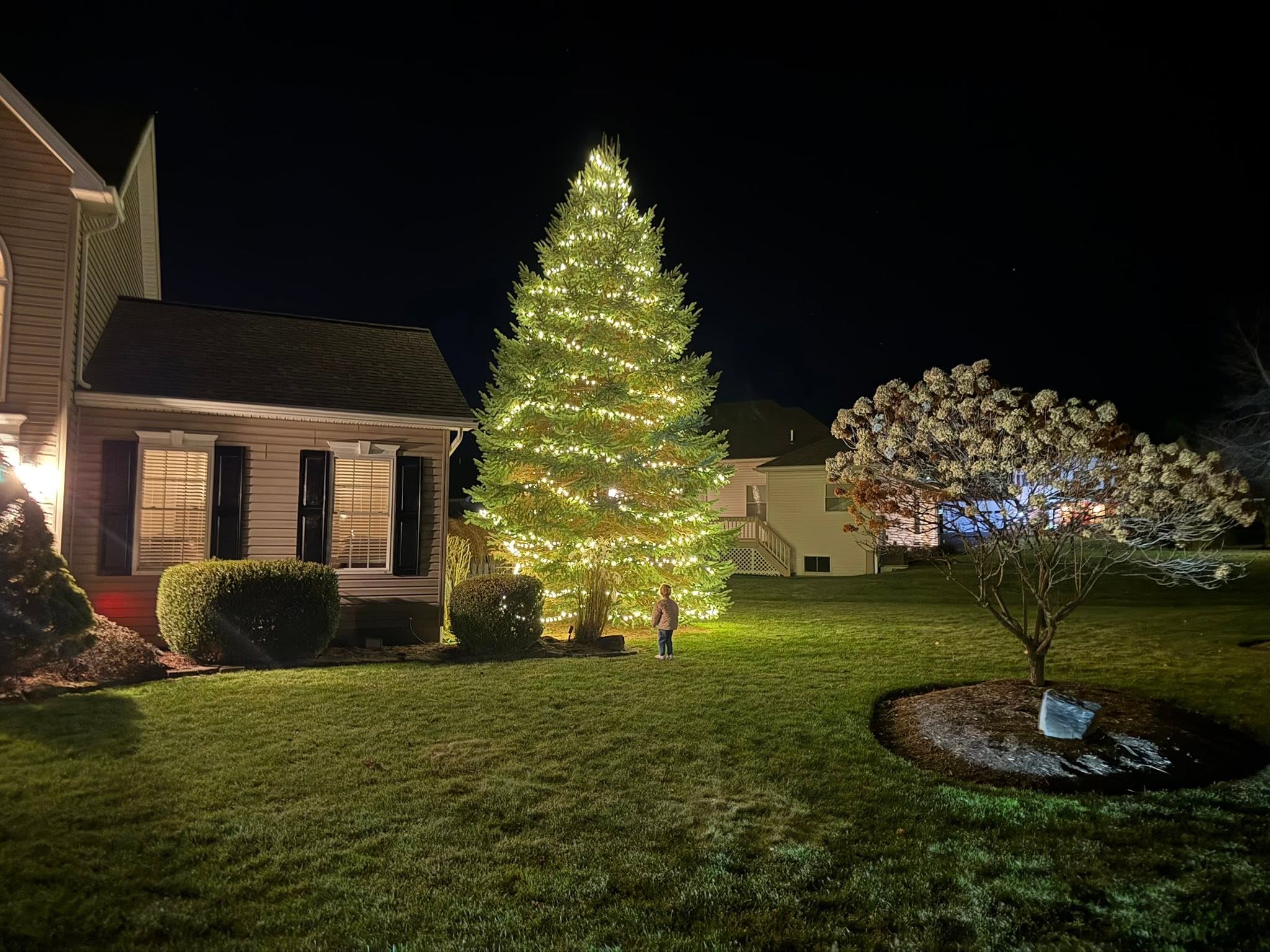 Warm white evergreen tree wrap