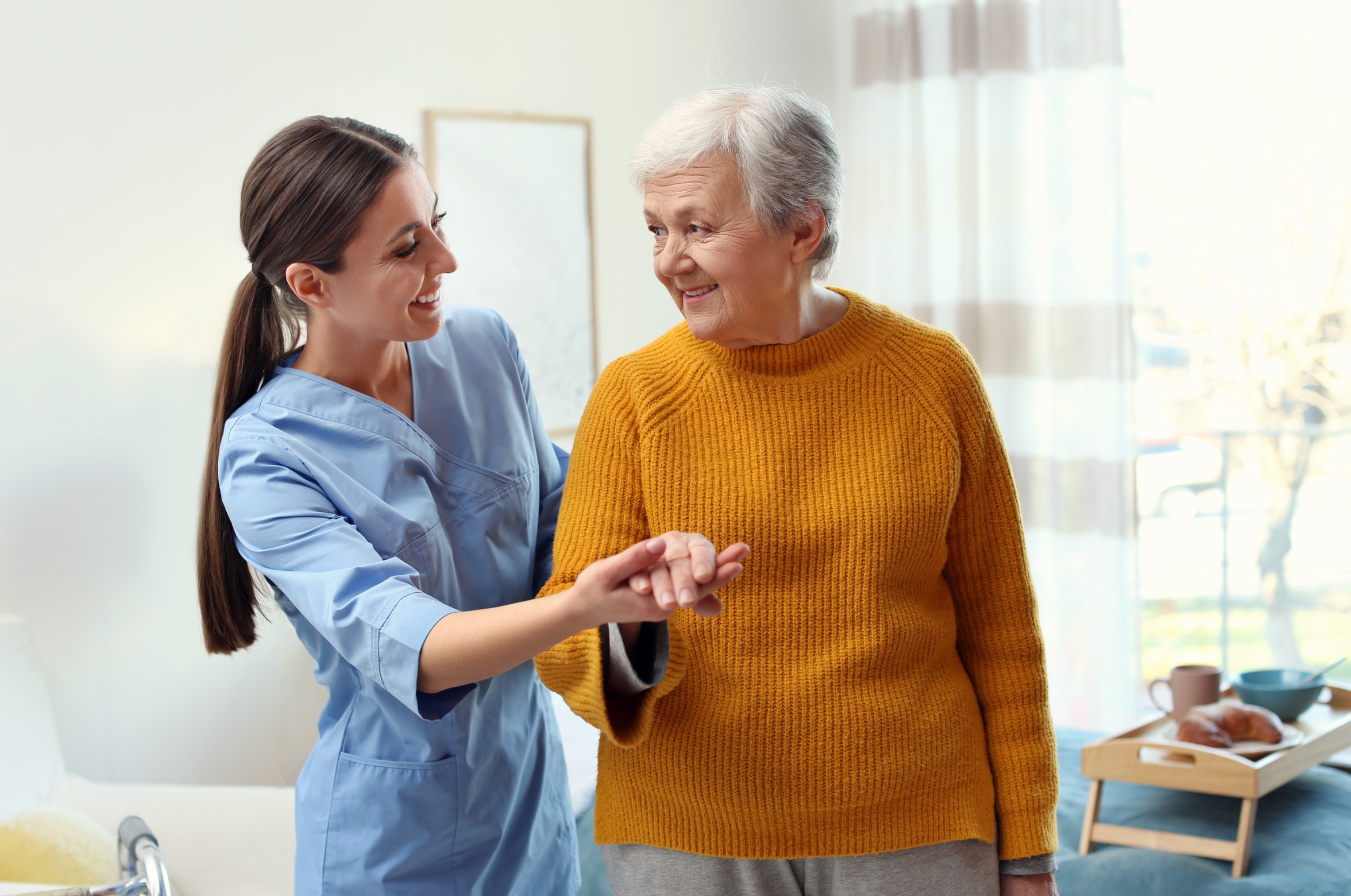 Professional caregiver with senior patient