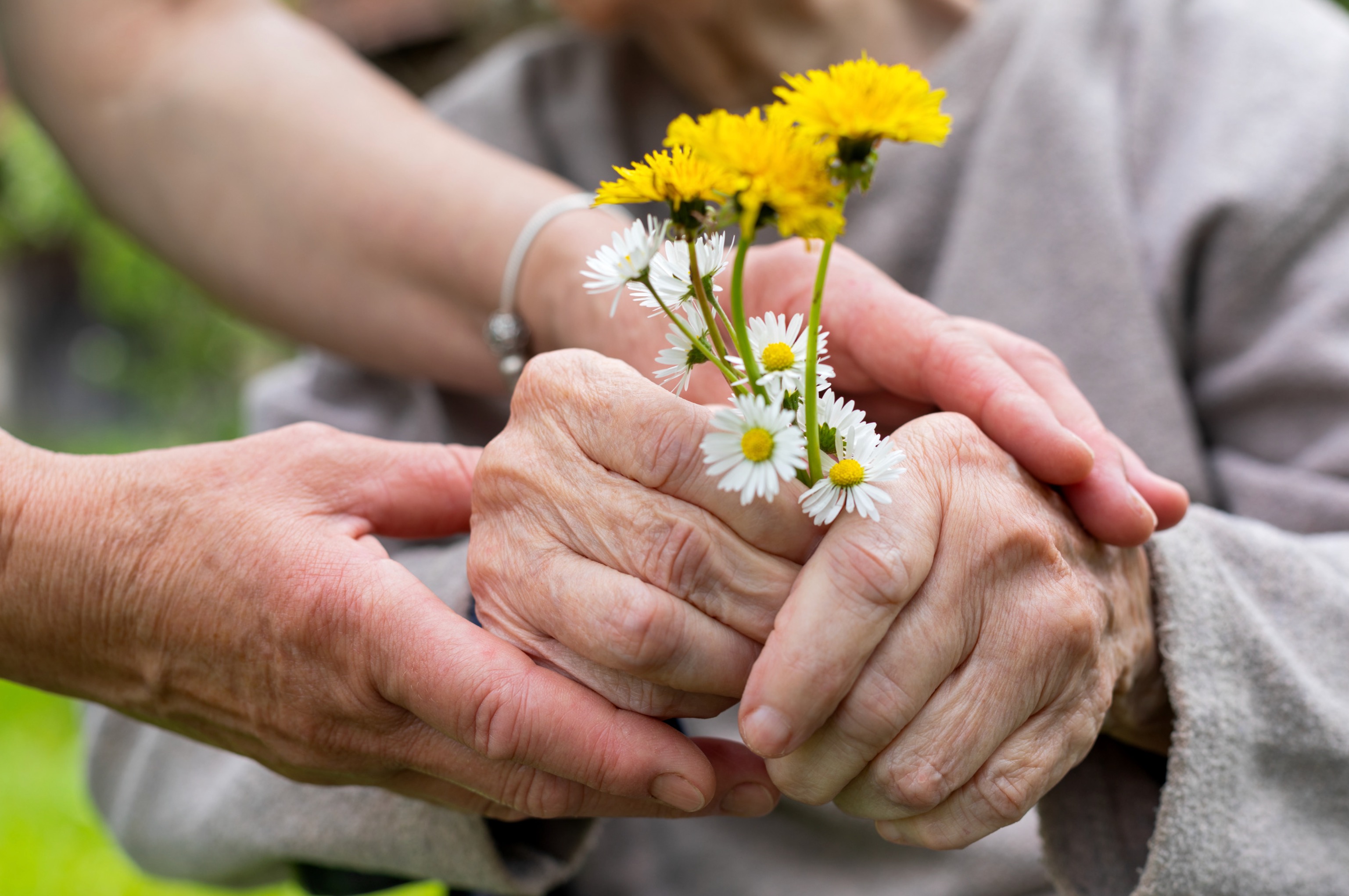 Compassionate hand-holding between caregiver and senior