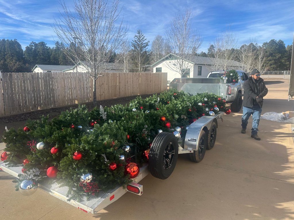 Stardust · Holiday Decor Delivery