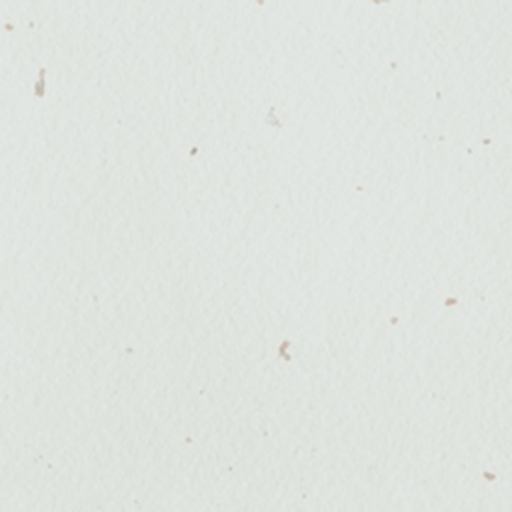 Paper texture