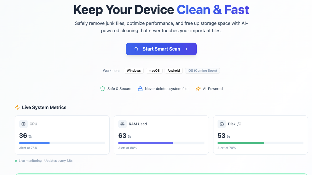 CleanSweep template preview