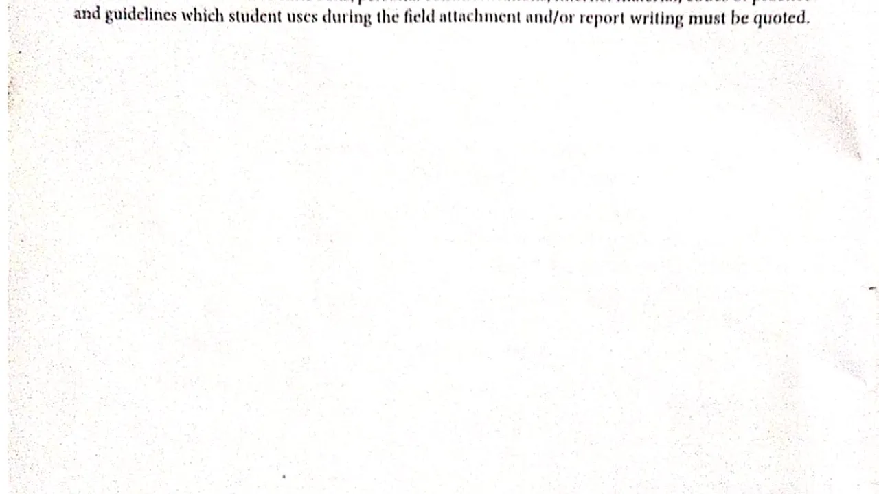data entry  template preview