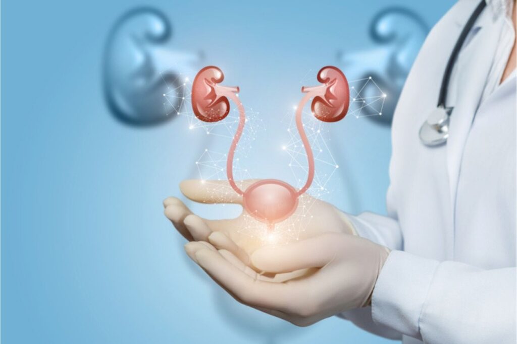 Urologia
