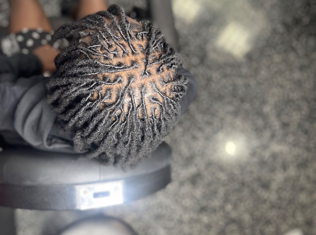 Starter Locs