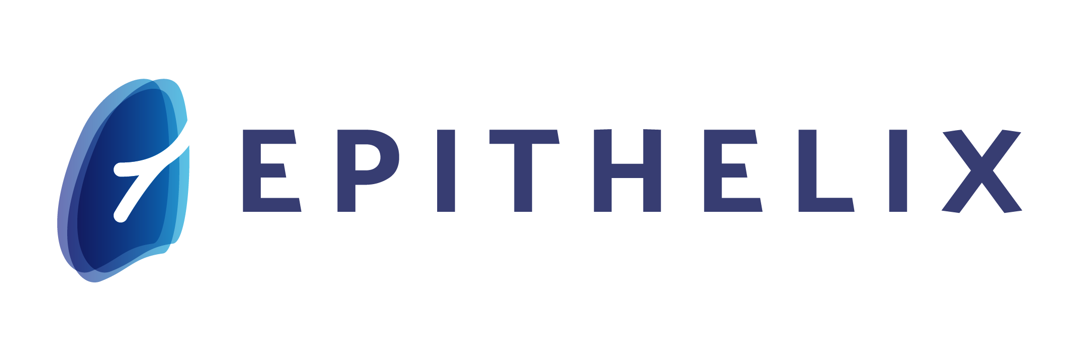Epithelix