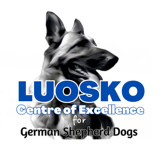LUOSKO Logo