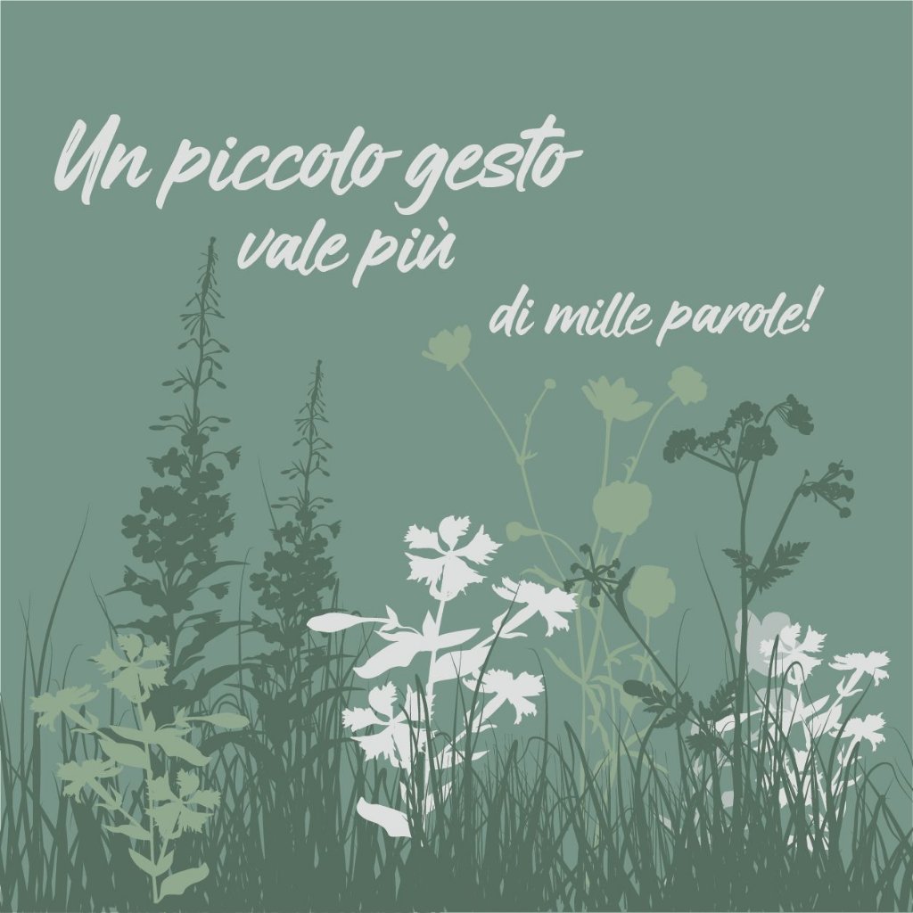 Un piccolo gesto vale più di mille parole!