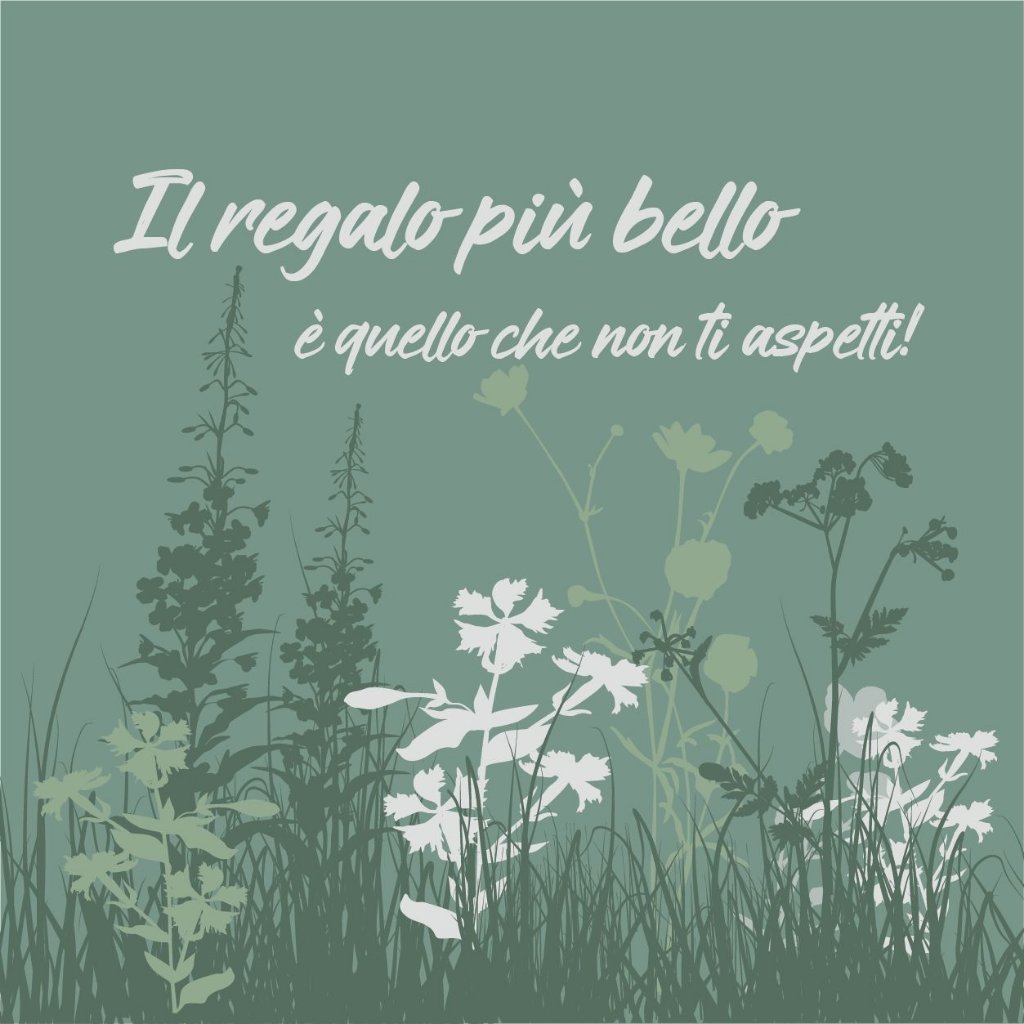 Il regalo più bello è quello che non ti aspetti!
