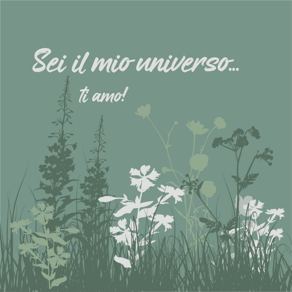Sei il mio universo... ti amo!