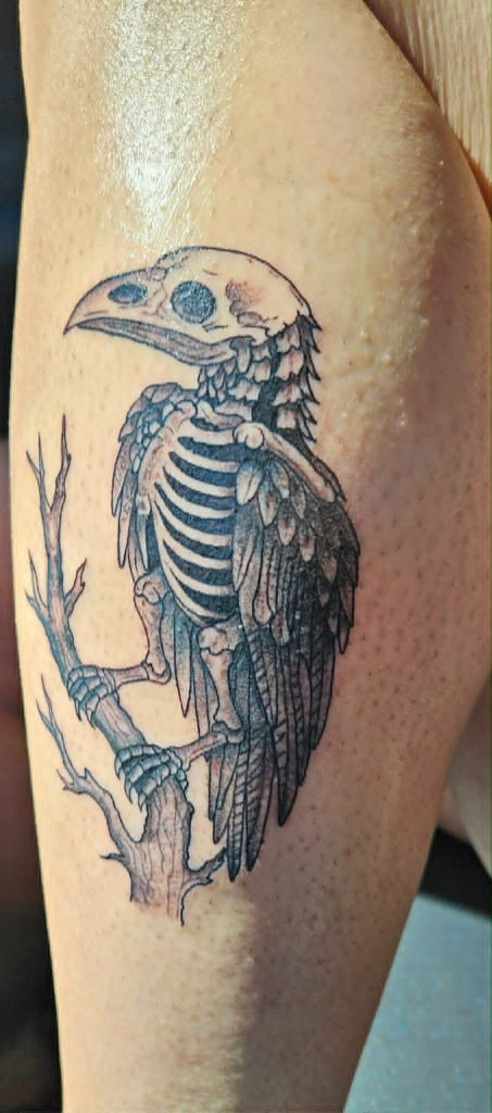 Skeleton crow on branch