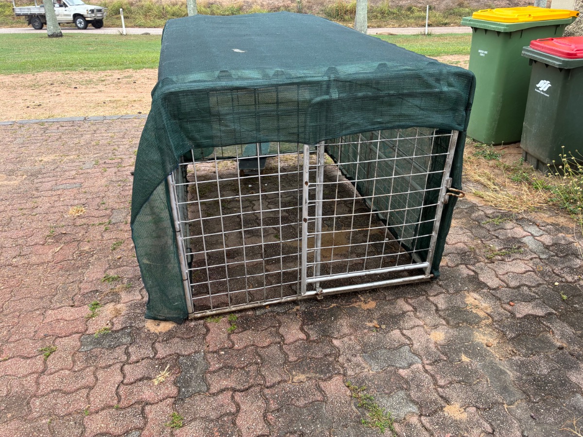 Large dog kennel