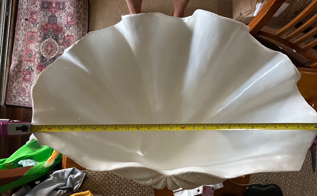 Giant Clam Shell