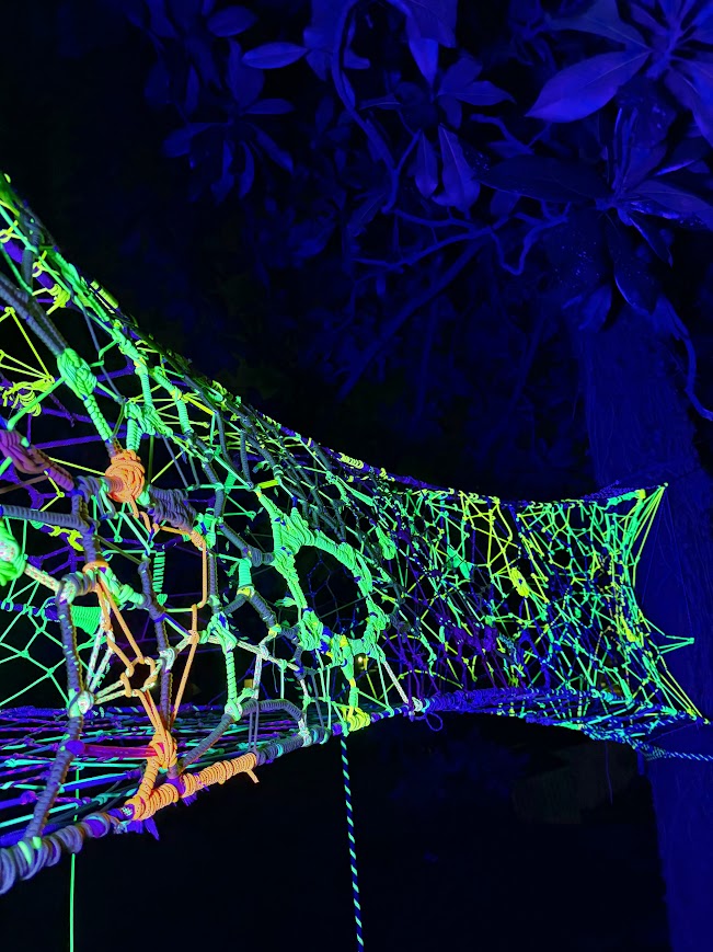 Glowing lime and orange web strung between trees
