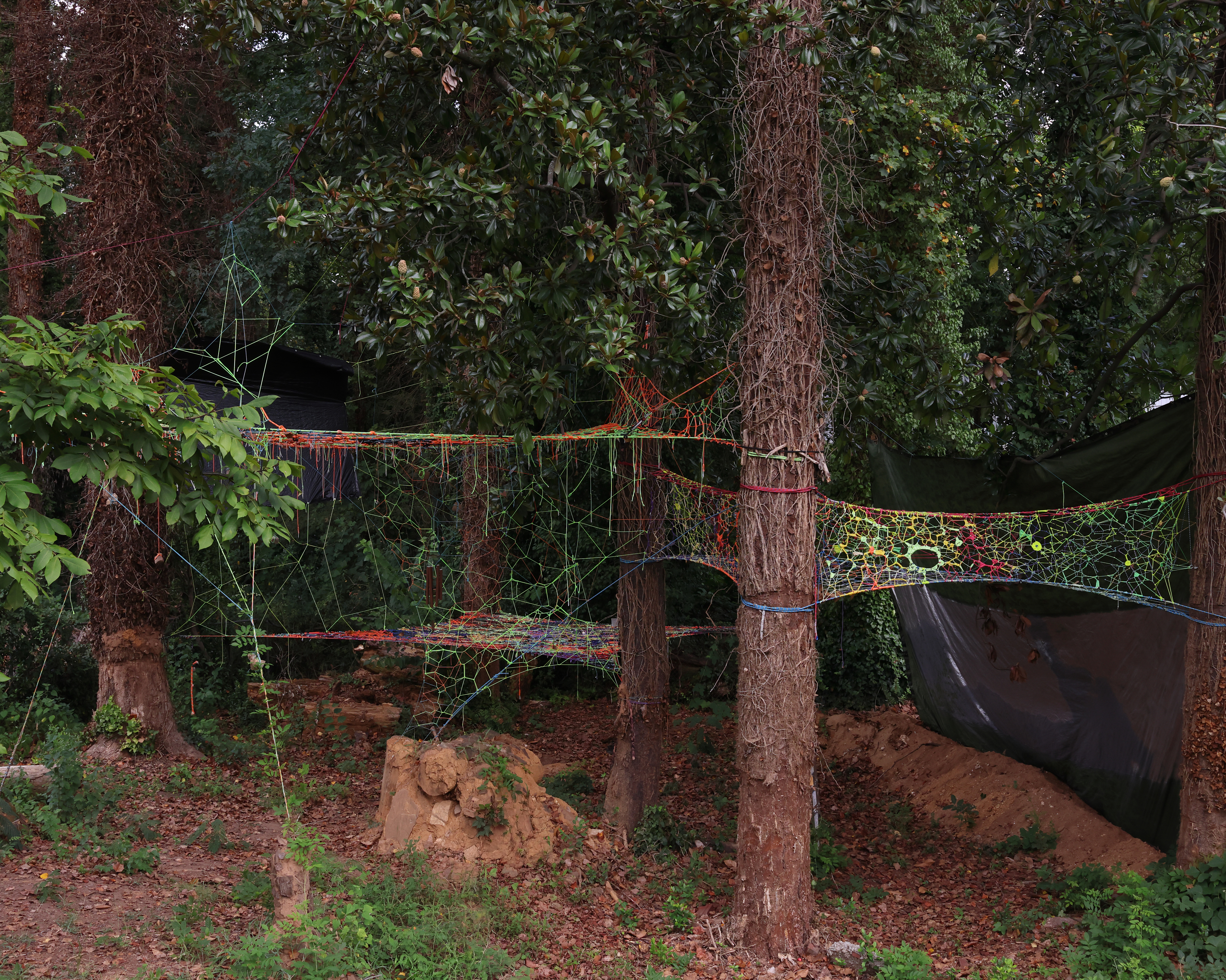 Tensioned neon paracord web strung between trees in the backyard