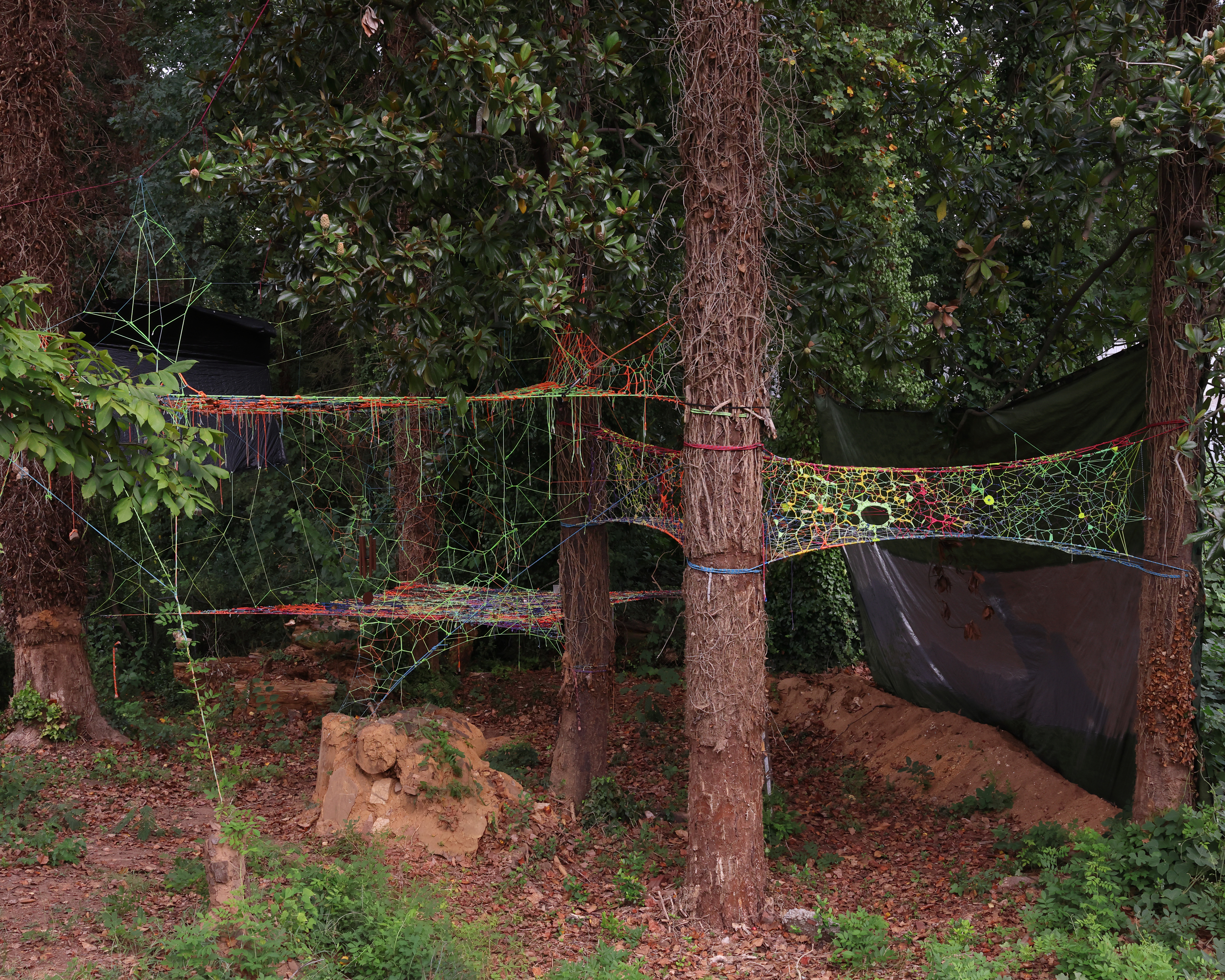 Treenet installation woven between forest trees