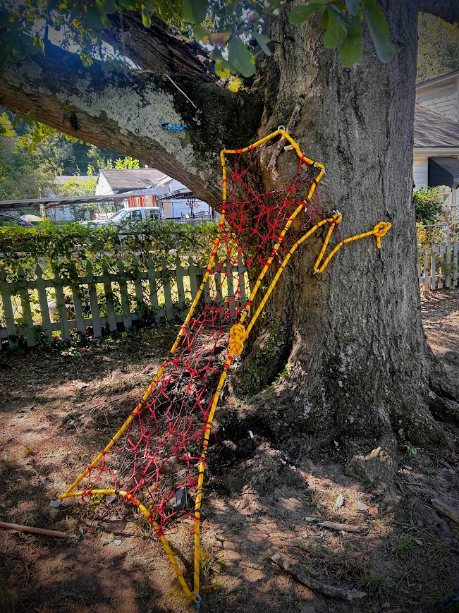 Yellow frame with a red interior web, secured to bark