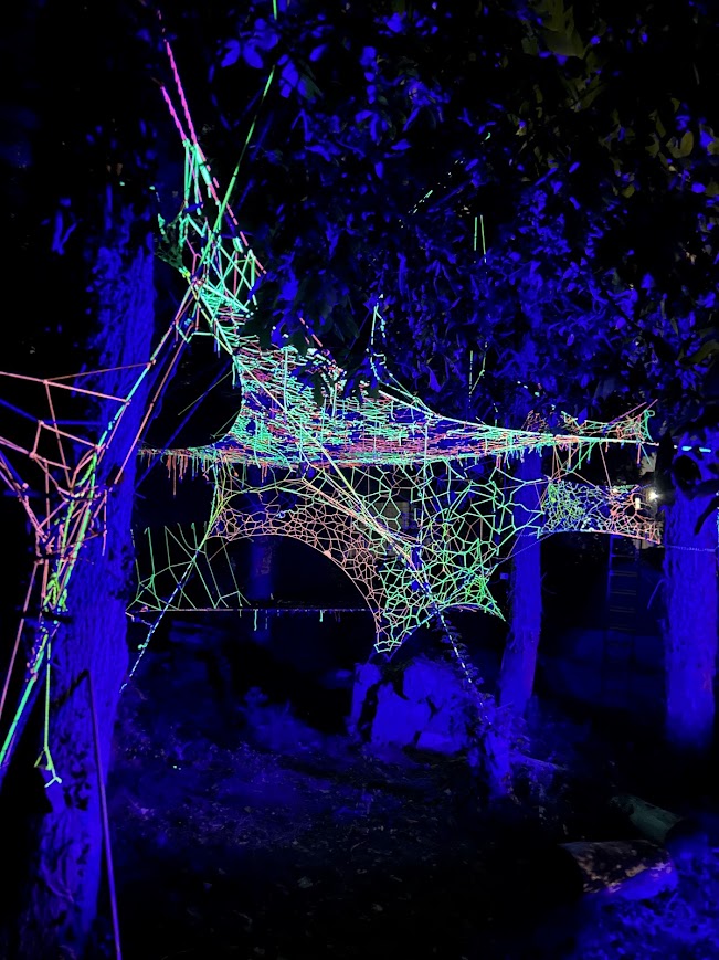 Neon green and pink web glowing between trees under blacklight