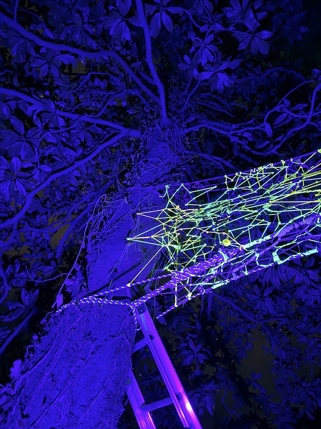 Neon web radiating from the trunk under blacklight