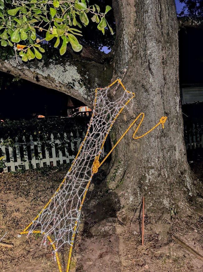 Reflective yellow net glowing against a dark tree