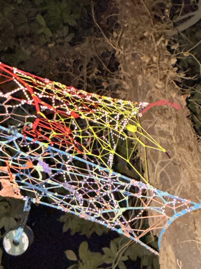 Multi-colored knotwork anchored to bark at night