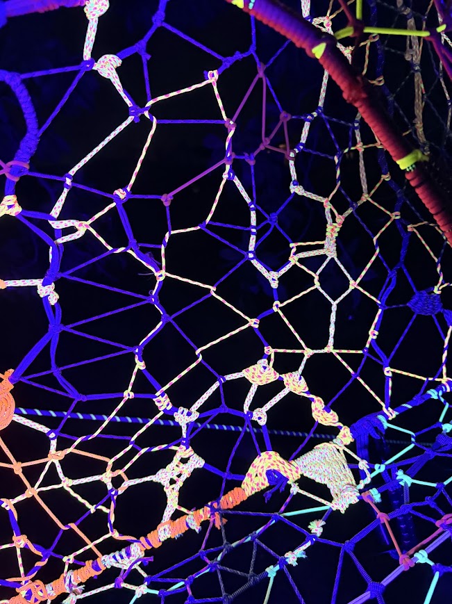 Lime, cyan and coral hexagonal net in the dark