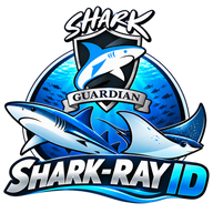 Shark-Ray ID logo