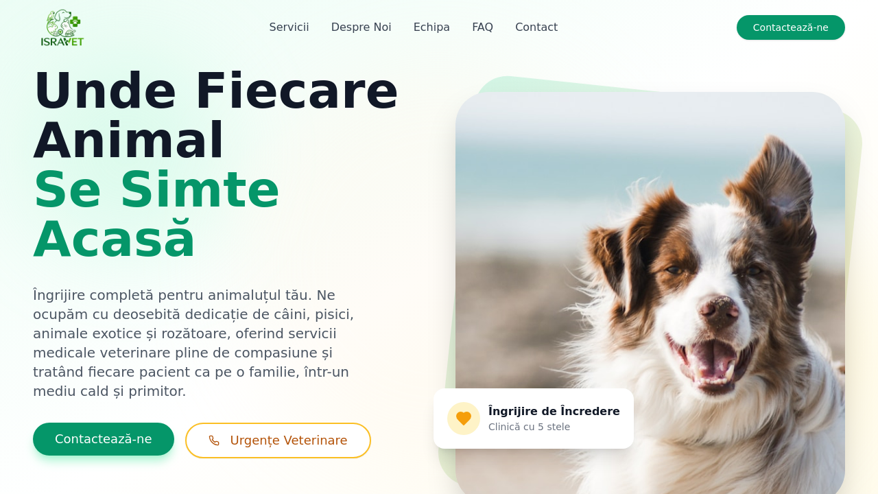 Veterinary Clinic  template preview