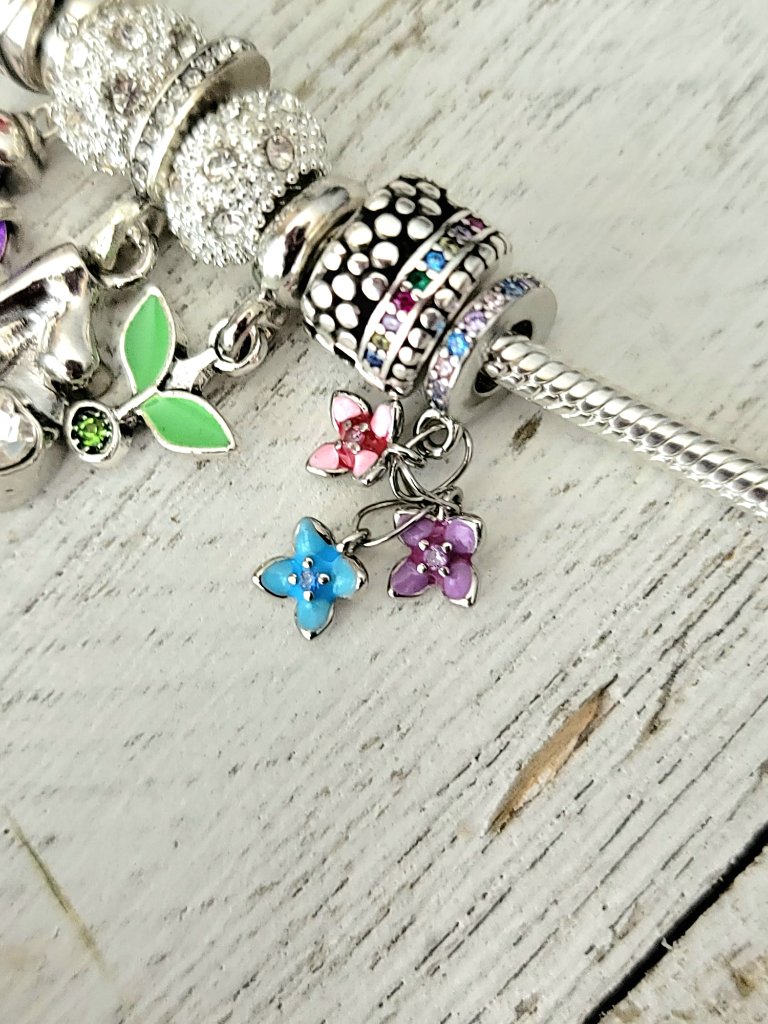 Continuum charm 6