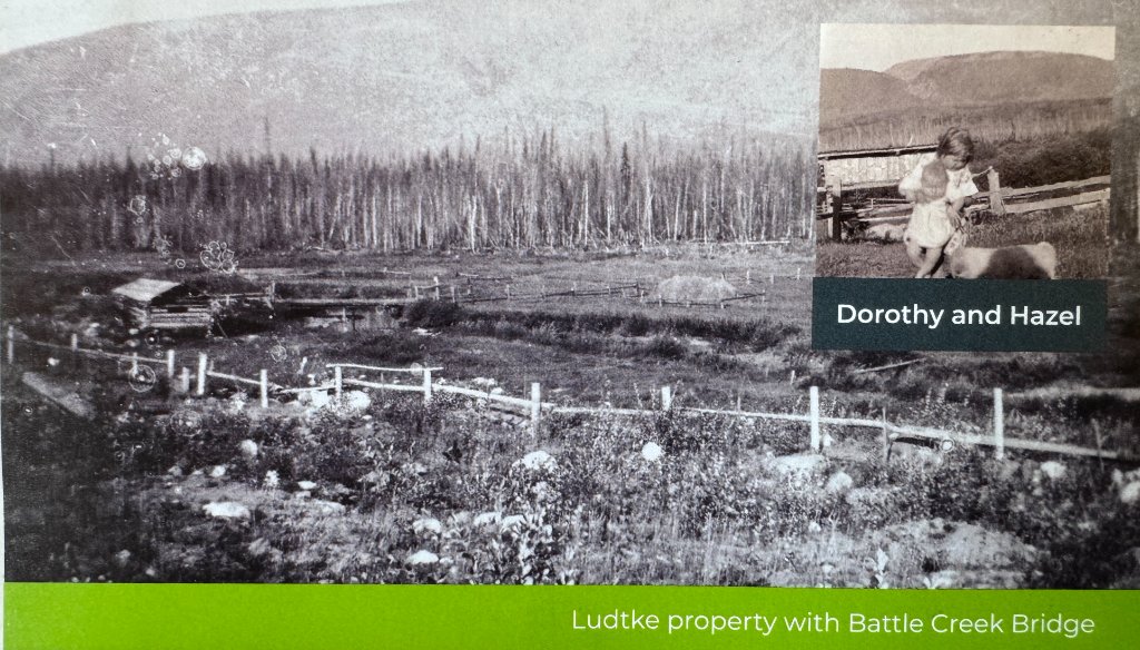 Ludtke property with Battle Creek Bridge