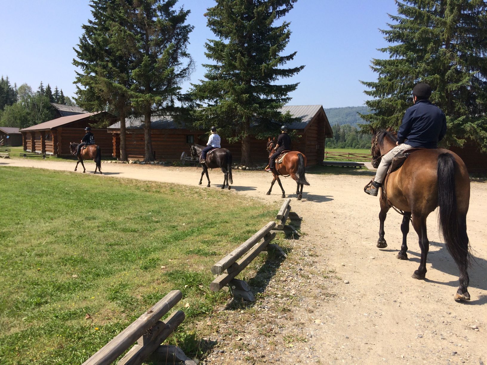 Ranch Animals
