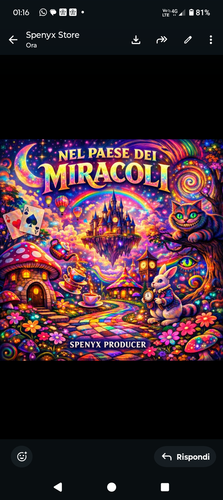 NEL PAESE DEI MIRACOLI