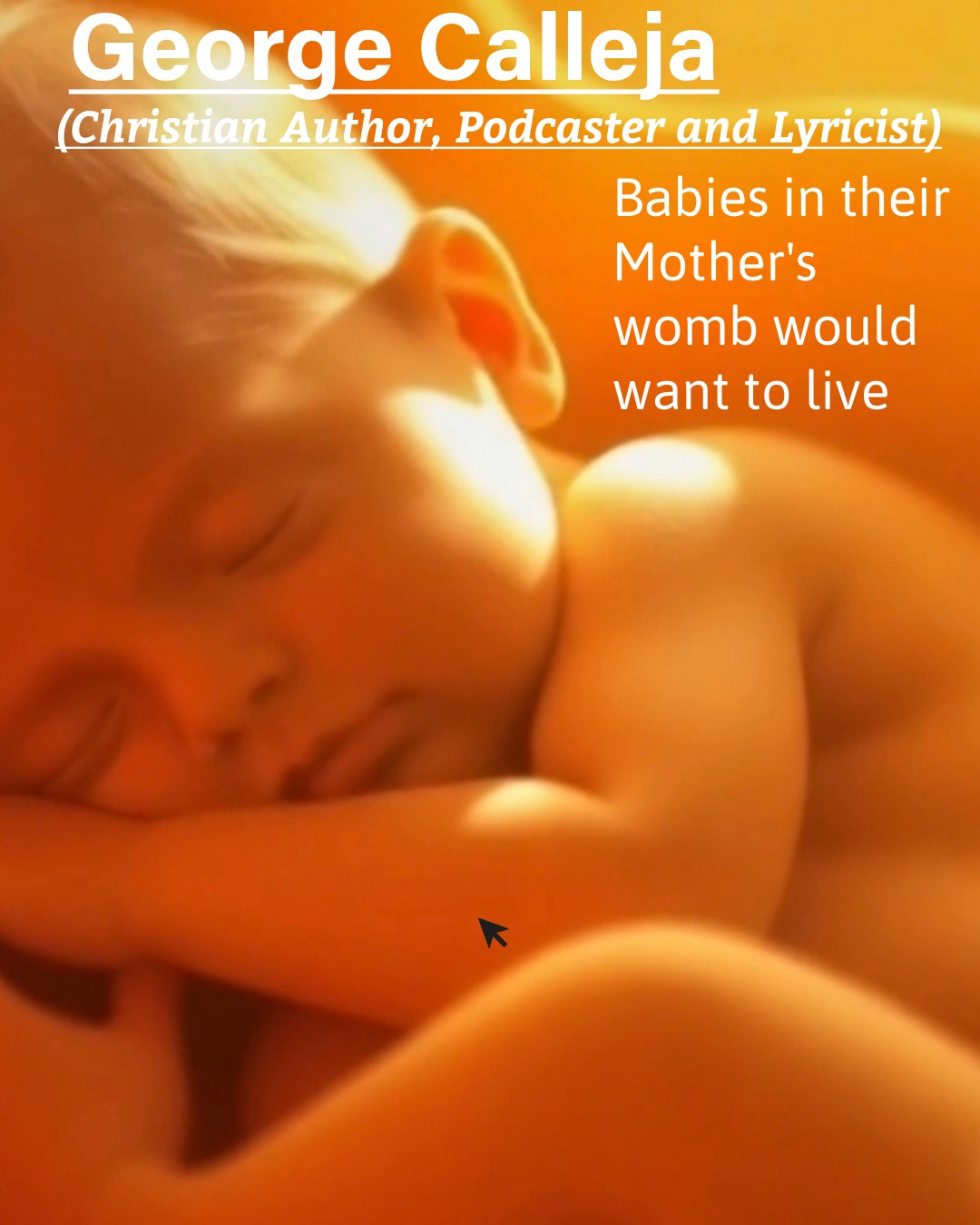 BABIES IN THEIR MOTHER'S WOMB WOULD WANT TO LIVE