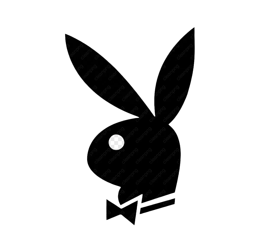 Playboy - Mediální partner