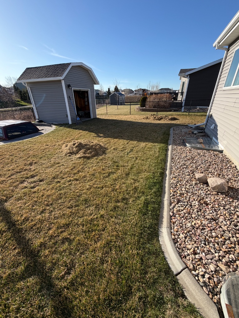 Power Raking (Dethatching)