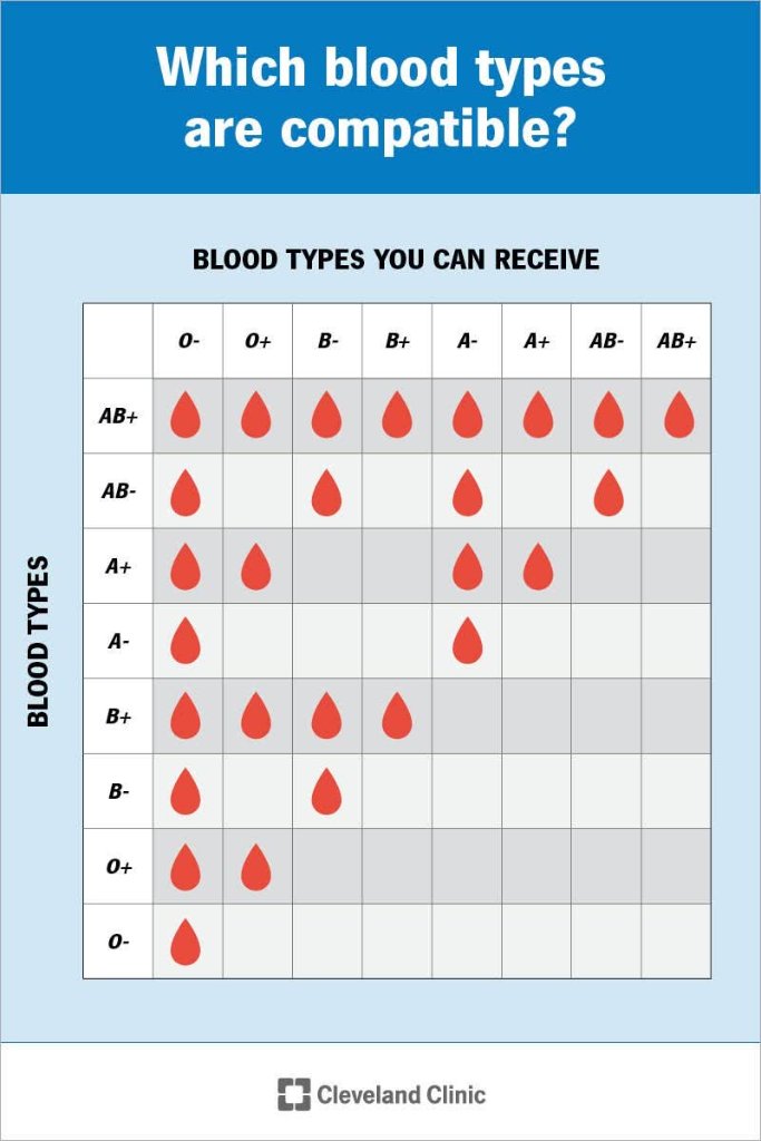 Blood Type Compatibility