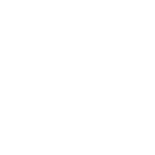 Student Hotel Burgers Park