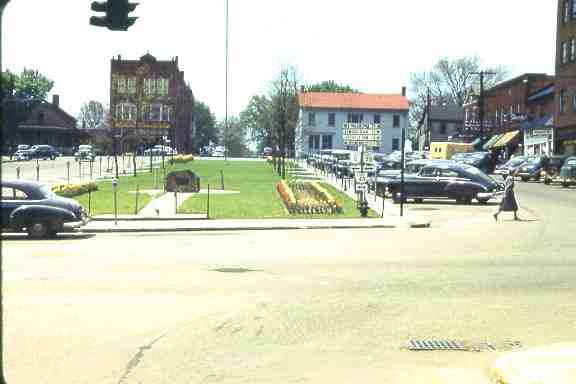Park After Trees Down