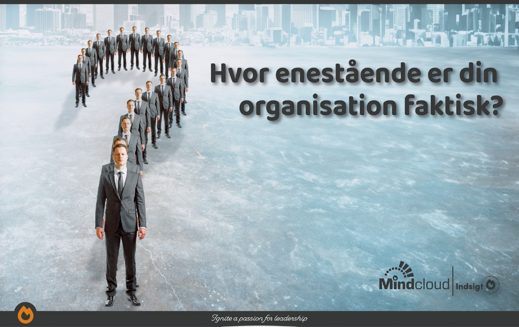 Hvor enestående er din organisation egentlig? — Mindcloud