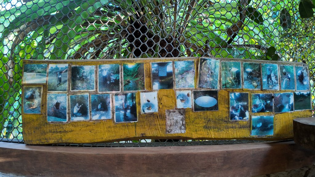 Community guides in the forest