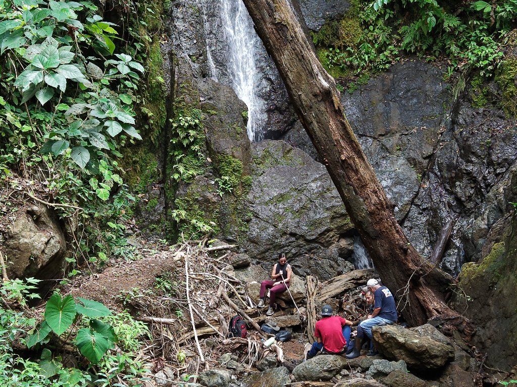 Waterfall in the forest