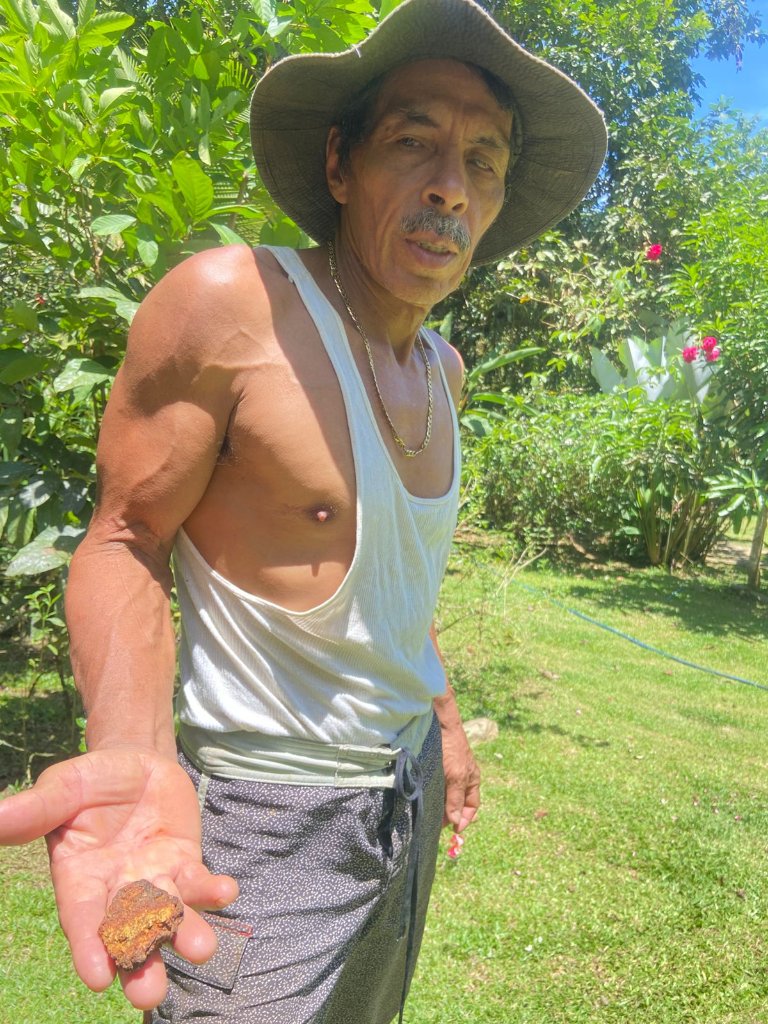Juan Cubillo with gold