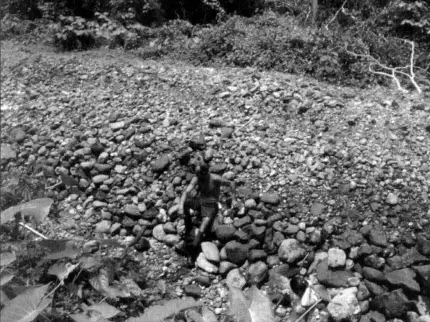 Tailings and gravel piles from mining operations on the Osa Peninsula