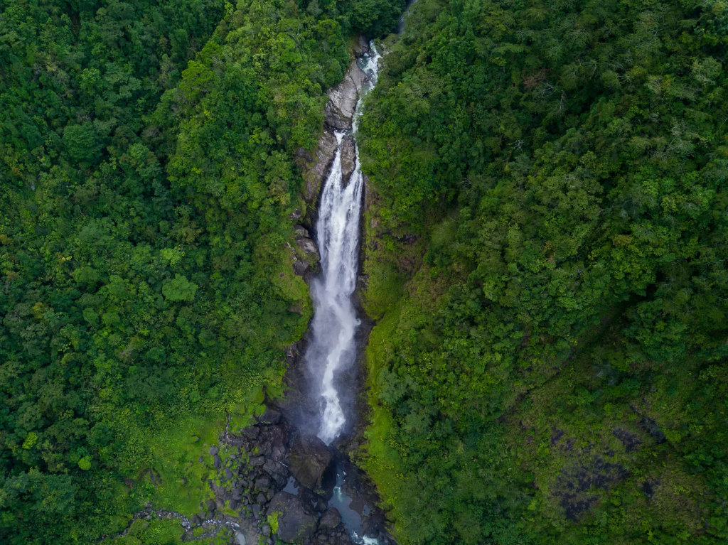 Waterfall cascading through Barbilla National Park rainforest