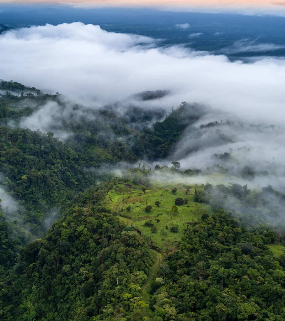 Top 5 Countries In The World For Conservation