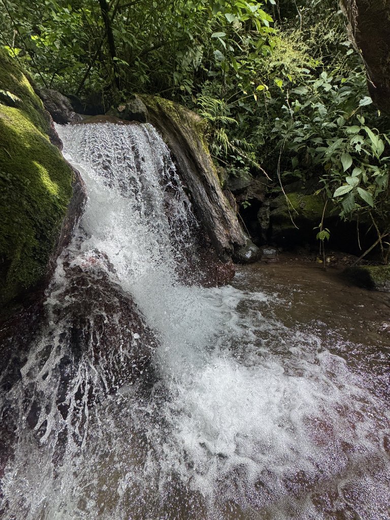 Fuente Alta