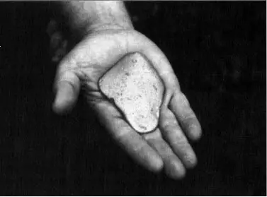 Gold Mining Impacts on the Osa Peninsula Costa Rica
