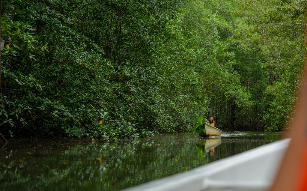 Canoeing through Costa Rica rainforest river