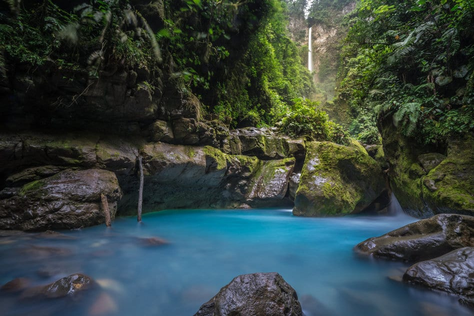 Rainforest waterfall corridor